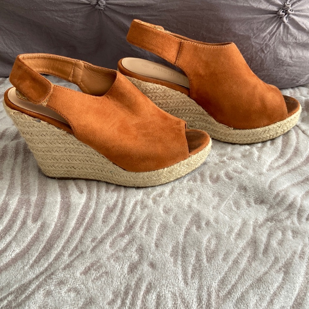 Copper Wedges - image 1